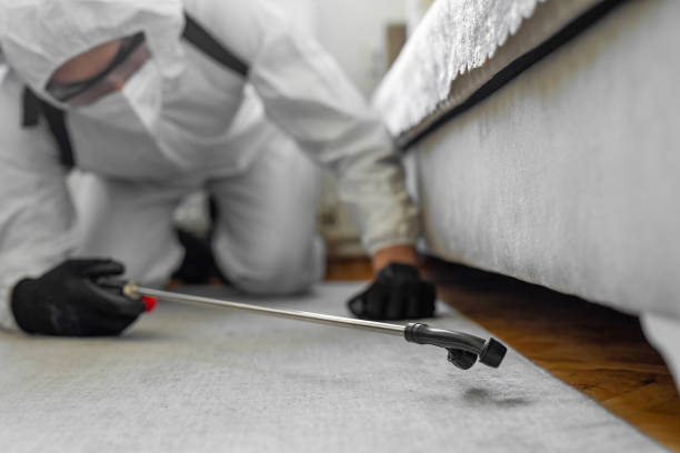 Professional Bed Bug Control technician working in Cohoes, NY