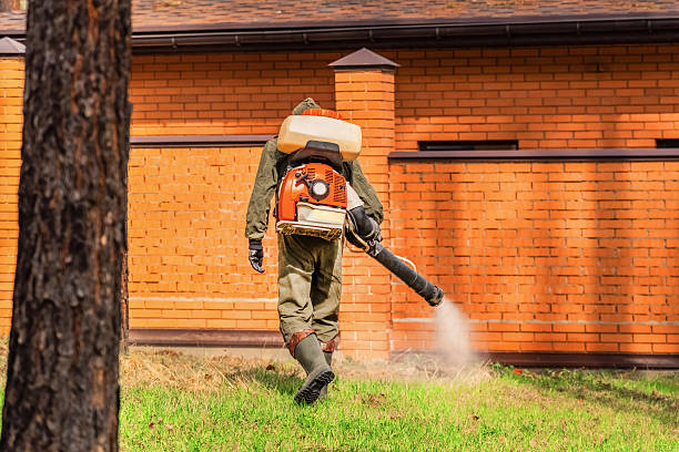 Trusted Mosquito Control service in Cohoes, NY - Nex Pest Control